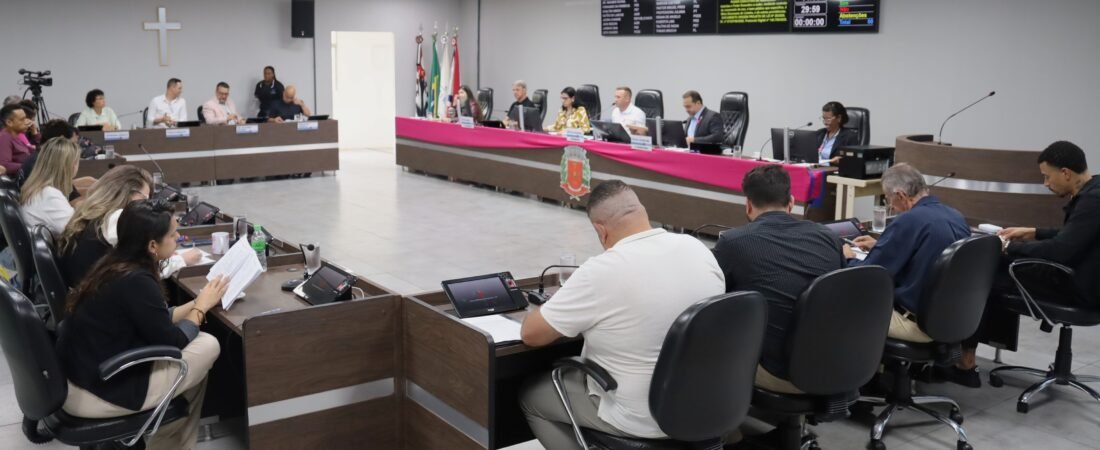Câmara cria comissão especial de estudos para prevenção e enfrentamento de enchentes na bacia do Ribeirão Quilombo