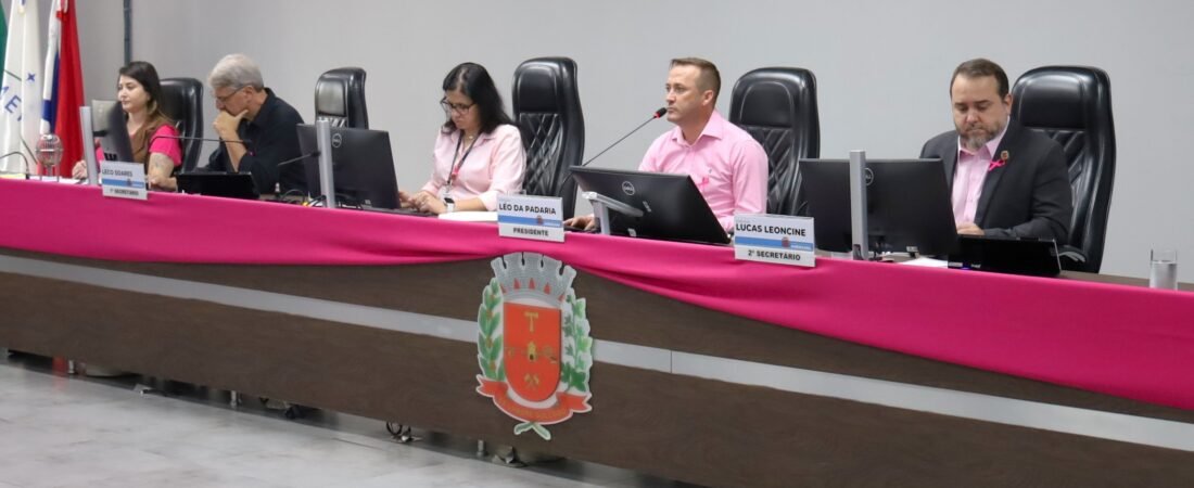 Vereadores aprovam 22 proposituras durante sessão ordinária desta terça-feira (13)